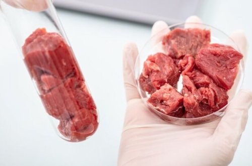 Rusiyada süni ət yaradıldı – İlk kotlet bişirilib