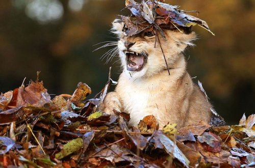 Прогноз погоды на завтра