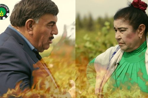 PAMBIQÇILAR ÜZ-ÜZƏ GƏLDİ: Əlibala Səlimov yoxsa Fatma Hüseynova? - YARIŞ BAŞLADI - VİDEO