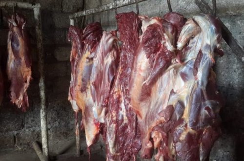 У фермера в Хачмазе изъяли более 300 кг несъедобного мяса - ФОТО