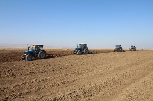 Azərbaycanda payızlıq əkinlər üçün şum prosesinin 70,6 faizi yekunlaşıb