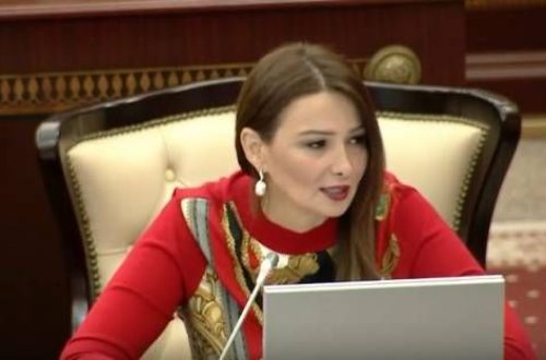 Qənirə Paşayeva MM-də uşaqlar, gənclərlə bağlı qəbul olunan qanunların icrasına ciddi nəzarət edilməsinə çağırıb