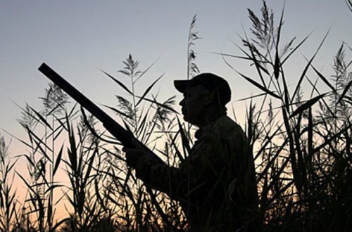 Жителей Гусара и Хачмаза задержали за незаконную охоту - ФОТО