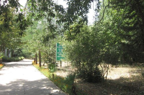 Milli Park direktoru: 