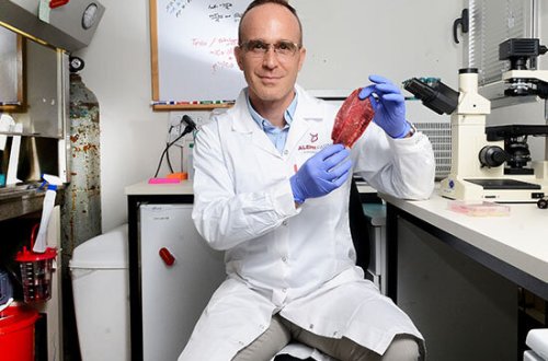 Alimlər heyvanları öldürmədən mal əti əldə etdilər - FOTO-VİDEO