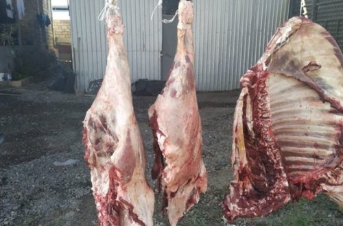 В Мингячевире предотвращена попытка продажи мертвечины - ФОТО
