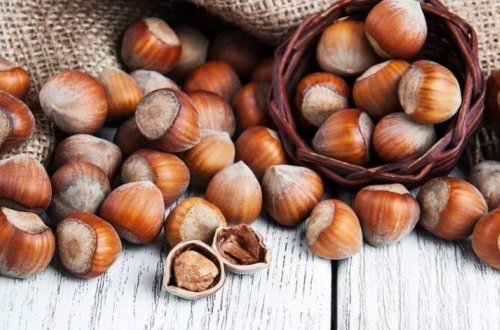 Азербайджан может стать вторым в мире производителем фундука