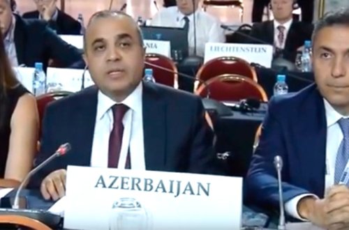 Azay Quliyev Prezident İlham Əliyevin mövqeyini ATƏT PA-ya çatdırdı