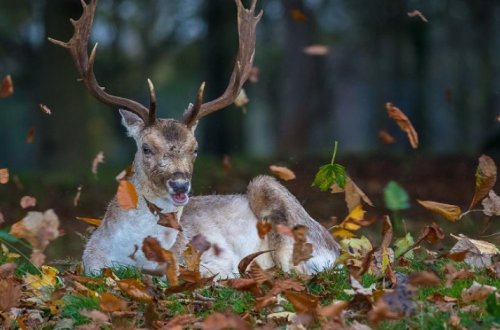 Прогноз погоды на завтра
