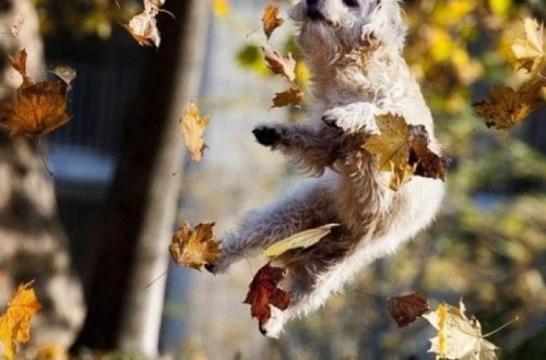 Прогноз погоды на завтра