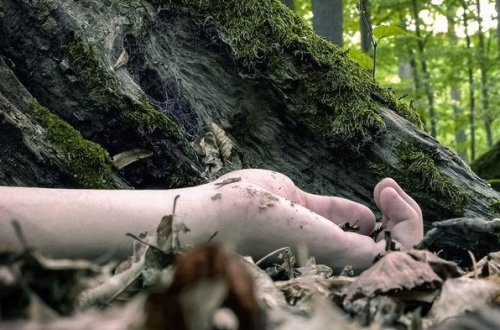 МВД о девушке, найденной в тяжелом состоянии на бейлаганской дороге