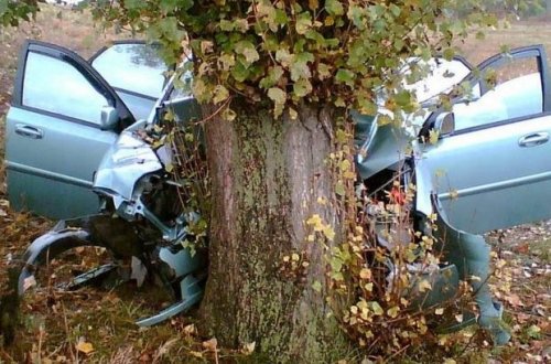 В Баку девушка-водитель протаранила дерево