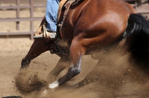 В Азербайджане женщину привязали к лошади и проволокли по земле - ОБНОВЛЕНО