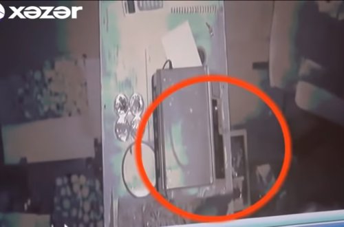 Azərbaycanda siçan mağazadan 324 manat pul apardı - VİDEO