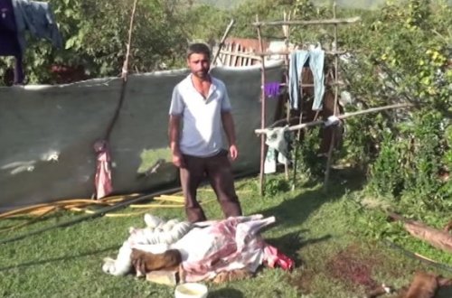 “Leş Tofiq”dən sonra “Leş Elgün” də ələ keçdi - VİDEO