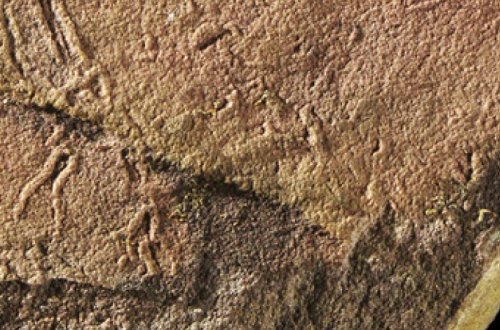 Найдена самая древняя форма сложной жизни на Земле