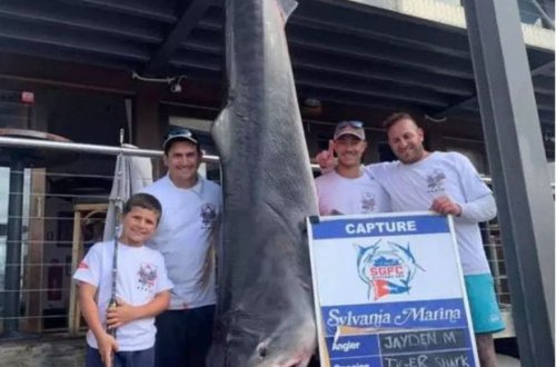 В Австралии 8-летний мальчик поймал акулу на удочку - ФОТО/ВИДЕО