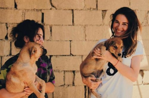 Некоторые люди даже остатки еды не готовы отдавать животным. Нигяр Гулиева о том, как открыла приют для собак