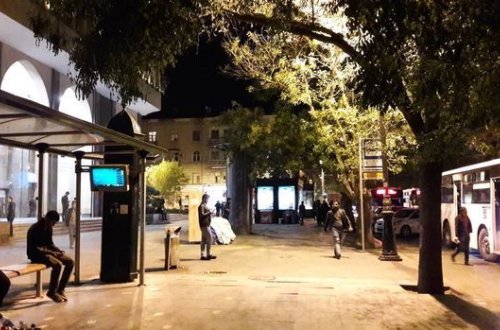 В ИВ Баку прокомментировали инцидент с упавшей на людей веткой дерева