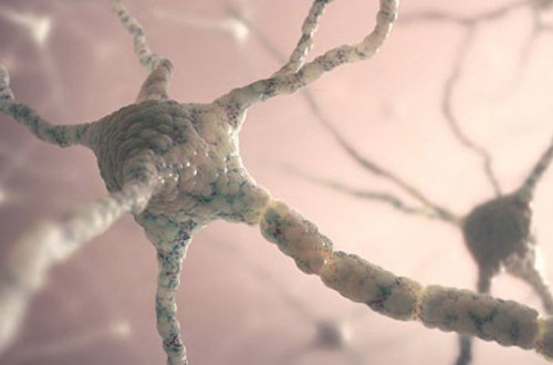 Ölümcül infarkta qarşı vasitə tapılıb