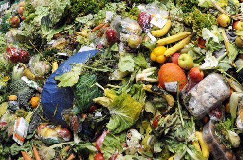 Hər il dünyada nə qədər ərzaq israf olunur? - Baş katib açıqladı