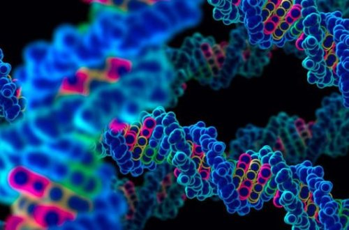 Назван новый признак преждевременной смерти