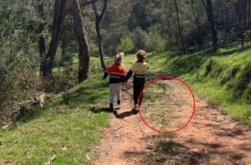 Мама сделала фото своих детей, оказавшихся в смертельной опасности