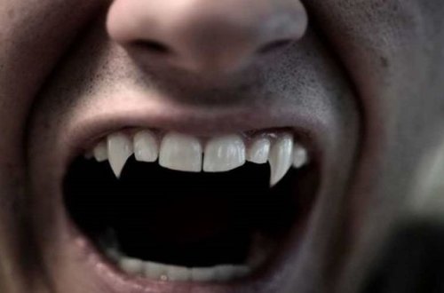 Otaq yoldaşının vampir olmasından şübhələndi, onu öldürməyə çalışdı