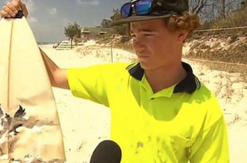 Огромная акула затаилась под доской и напала на серфера