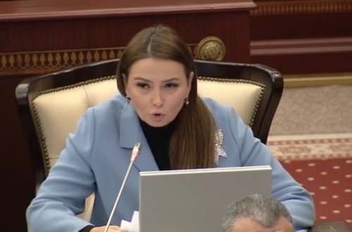 Qənirə Paşayeva qadınlara qarşı zorakılıqla bağlı Milli Məclisdə ÇAĞIRIŞ ETDİ – VİDEO