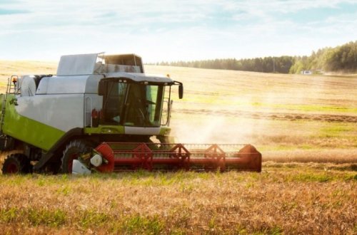 На проекты по производству зерна в Азербайджане выделено 71 млн долларов