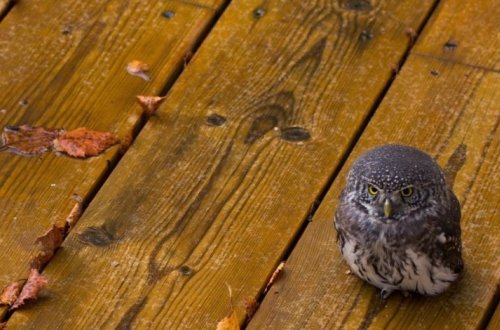 Прогноз погоды на завтра