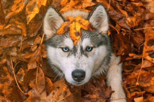 Прогноз погоды на завтра