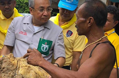 Рыбак нашел рвоту кашалота и озолотился