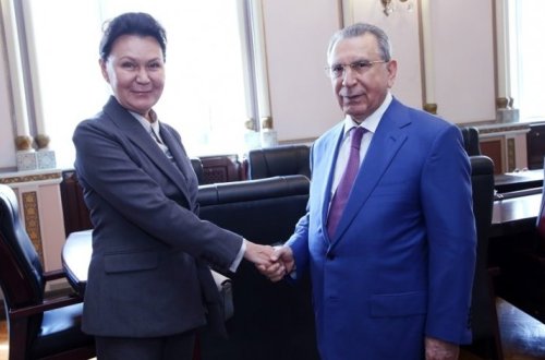 Президент НАНА Рамиз Мехтиев встретился с вице-президентом Российской академии наук