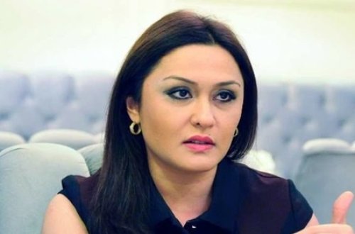 Günel Səfərova sədr seçildi