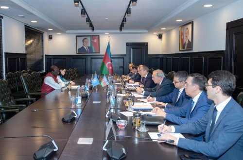 İqtisadiyyat naziri BMT-nin nümayəndəsi ilə görüşüb