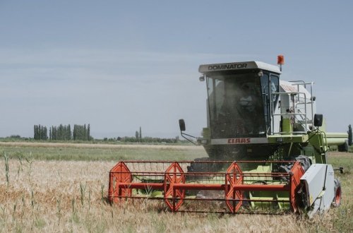 Bu günədək qəbul məntəqələrinə 255 min tondan artıq pambıq təhvil verilib