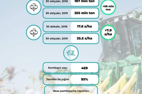 29 OKTYABR, PAMBIQ YIĞIMI: STATİSTİK GÖSTƏRİCİLƏR
