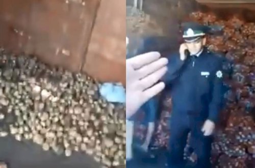 Azərbaycan gömrüyündə kartof qalmaqalı – Cavab + Video