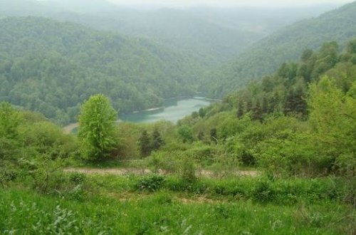 Göygöldə ölüm – 36 yaşlı Gəncə sakininin meyiti dərədə tapıldı