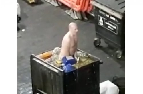 Офицер голышом окунулся в бак с навозом у Букингемского дворца – ВИДЕО