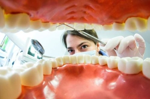 Həkim tarixin ən uzun dişini çıxardı - FOTO