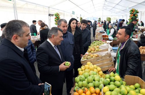 İlin sonunadək Bakıda iki yeni yarmarka açılacaq