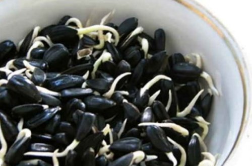 40 yaşlı müğənnini bağırsaq xərçəngindən xilas edən toxum – Babasını da ölümdən qurtarmışdı