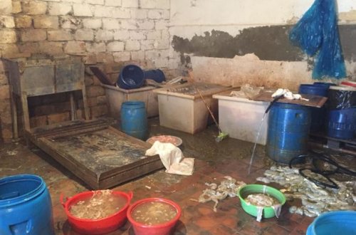 Bakıda sexdə iyrənc mənzərə - FOTO