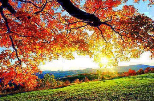 Sabah yaz havası olacaq