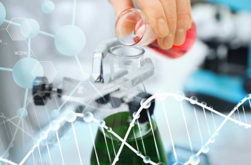 Создано мощное лекарство против рака