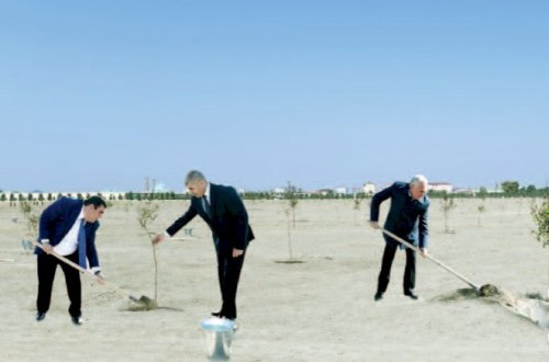 Vasif Talıbov oğlu ilə ağac əkdi – Video