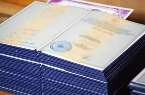 Онлайн-прием документов о признании дипломов иностранных вузов временно приостанавливается